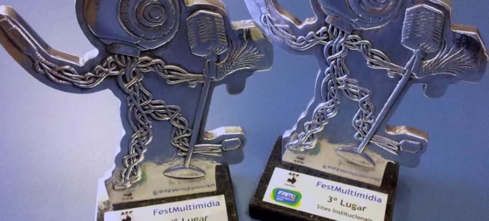 FAM 2012: 1º lugar na categoria e-commerce é da Alta