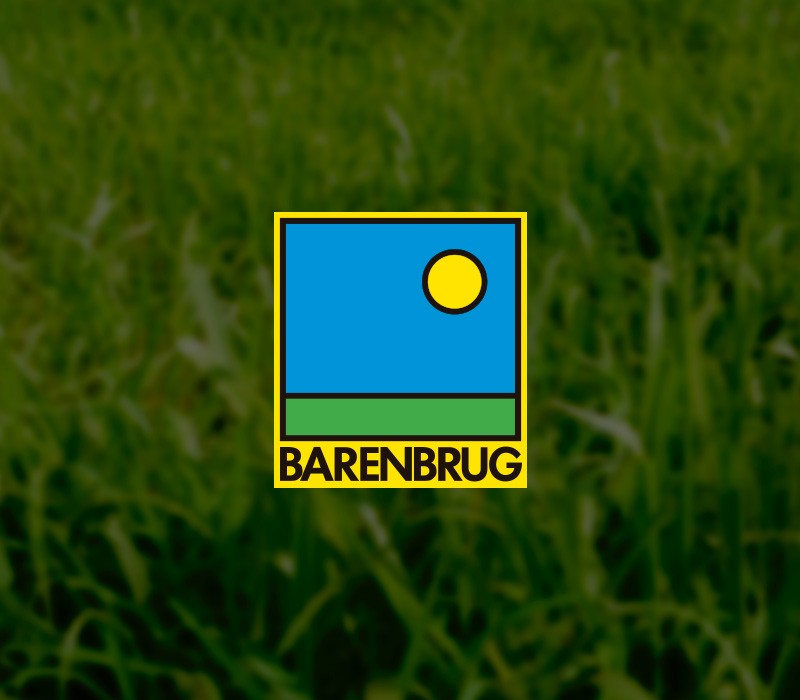 Barenbrug 